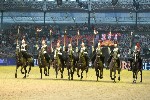 Cavalry - 00289